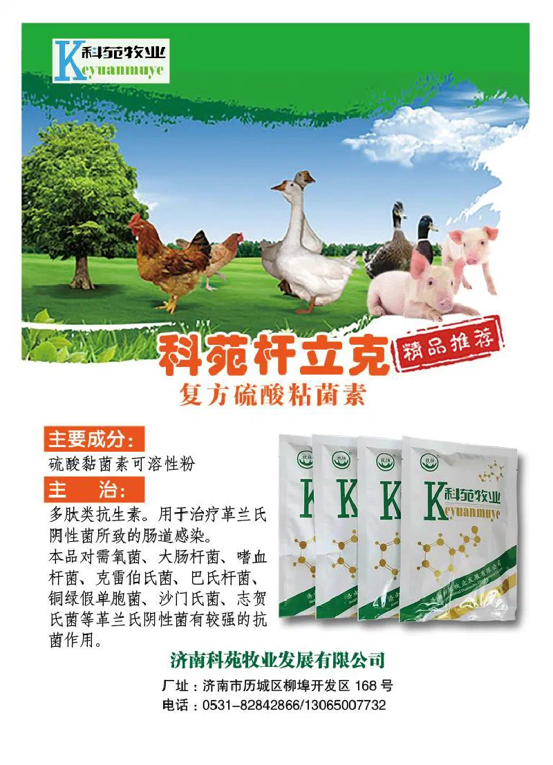 产品展示图